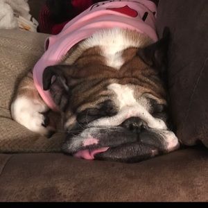 Meet your Posher, Justin